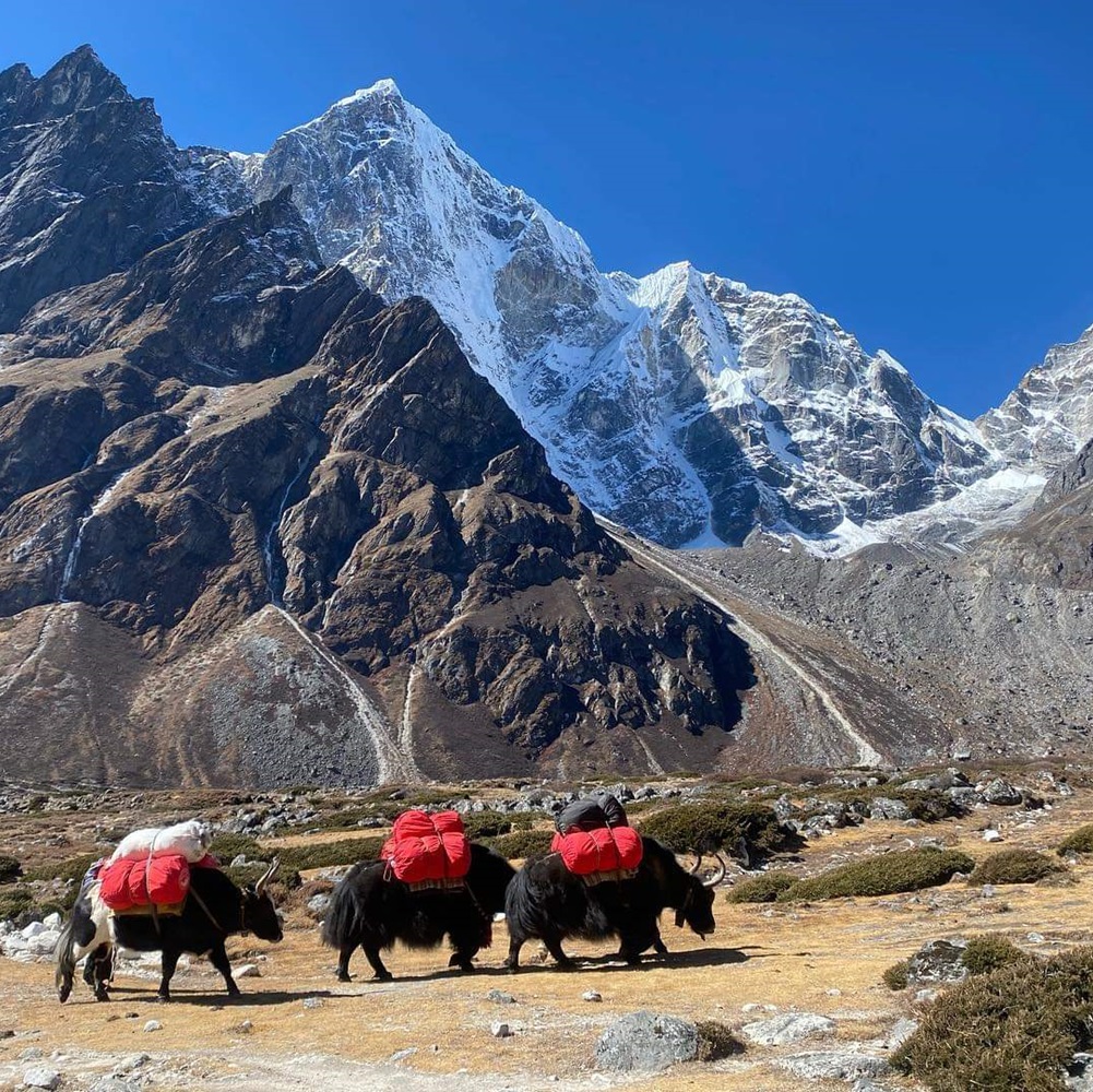 Dragnag (4,700 m) - Cho La (5,420 m) - Dzongla (4,830 m)