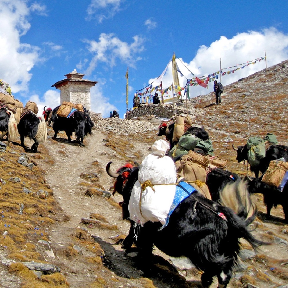 Chhukhung (4,730 m) - Pangboche - Tengboche (3,860 m)