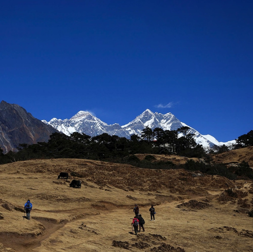 Khyangjuma (3,700 m) - Khunde (3,840 m) - Syangboche (3,720 m)